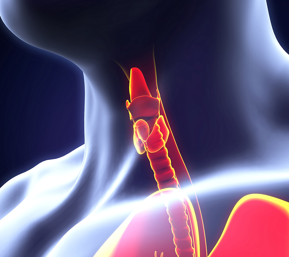 Thyroid Disease