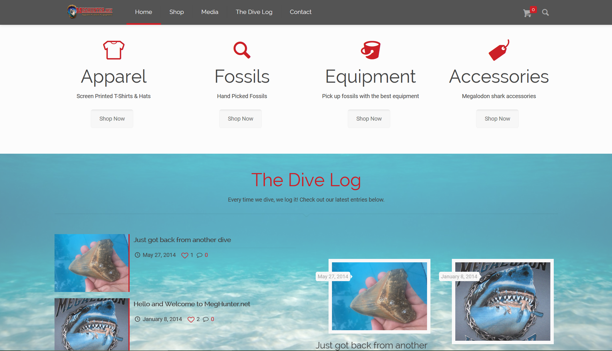 Website Screenshot - Meghunter