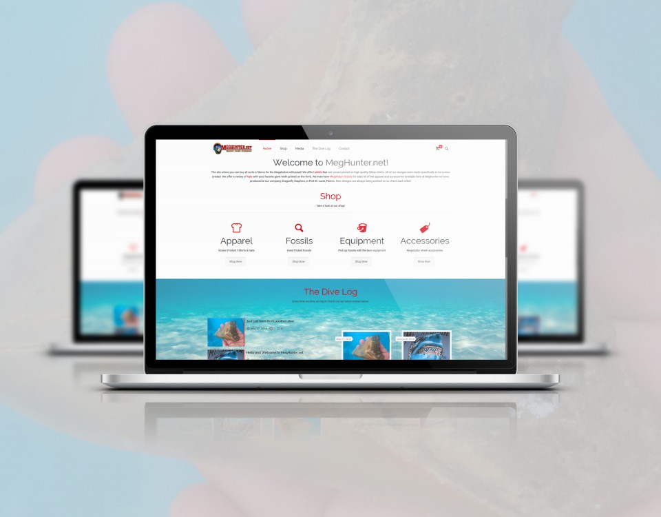 Website Showcase - Meghunter